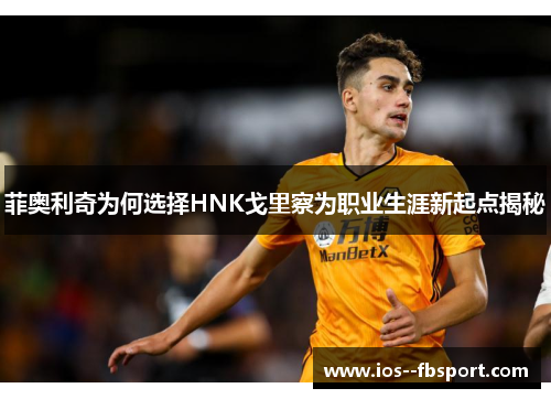 菲奥利奇为何选择HNK戈里察为职业生涯新起点揭秘